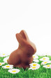 Pâques - lapin en chocolat Pâques - lapin en chocolat