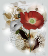 composizione romantica con papaveri e testo