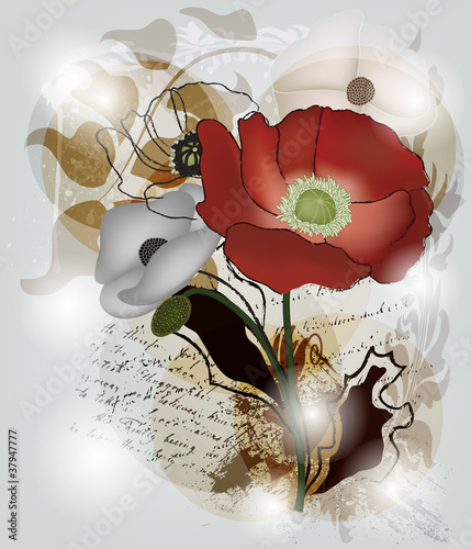 Vector: composizione romantica con papaveri e testo composizione romantica con papaveri e testo