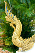 Dragon in the Mom's mouth Dragon in the Mom's mouth