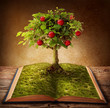 Book of knowledge