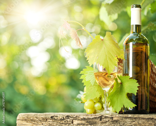 Foto: White wine bottle, vine, glass and bunch of grapes White wine bottle, vine, glass and bunch of grapes