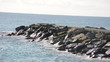 Küste in San Remo