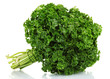 fresh bunch of parsley isolated on white