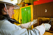Beekeeper working in an apiary holding a frame