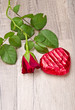 rose und Schokoladenherz am Valentinstag