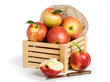 Foto: Jonagold Apples Jonagold Apples