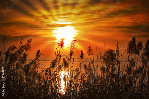 Photo: Sunset Lake - Garda Lake - Italy Sunset Lake - Garda Lake - Italy