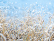 First snowfall impression First snowfall impression