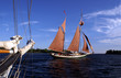 SegeltuchTraditionssegler unter