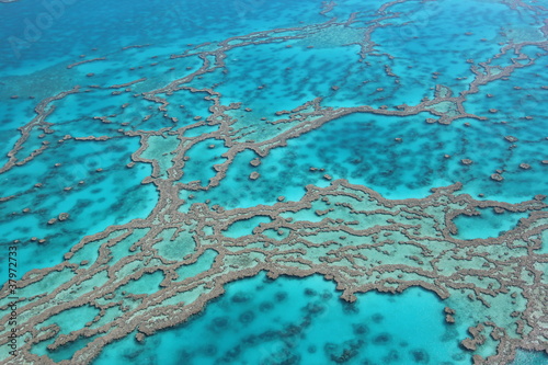 Foto: Great Barrier Riff Great Barrier Riff