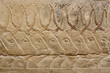 ancient egyptian engravings depicting bulls on a mastab wall