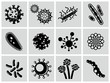Vektor: Vector black virus icons set. Vector black virus icons set.