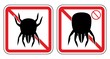 Vektor: House dust mite. House dust mite.