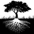 Vektor: Tree roots silhouette Tree roots silhouette