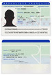 Vecteur : Carte d'identité Carte d'identité