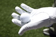 Golfer with white glove holds golf ball in open palm Golfer with white glove holds golf ball in open palm