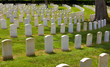 Military cemetery