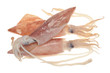 Fresh Squids Ready For Cooking Fresh Squids Ready For Cooking