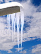 icicles from a roof gutter