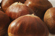 Chestnut