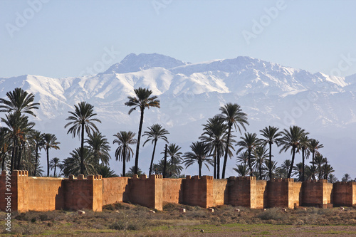 Photo: neige et palmiers neige et palmiers