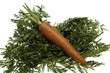 Organic Carrot on Greens Organic Carrot on Greens