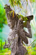 Hidden Goddess