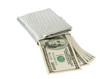 dollars with a purse isolated dollars with a purse isolated