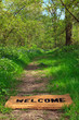 Welcome to the spring woodland vertical.