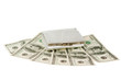 dollars with a purse isolated dollars with a purse isolated
