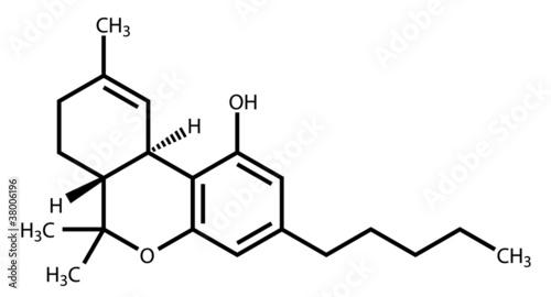 thc structural formula