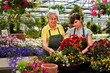 Foto: young and senior female gardener in the greenhouse young and senior female gardener in the greenhouse