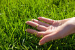 Photo: Hand with grass Hand with grass