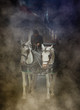Carrozza nella notte