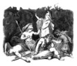 Valkyries
