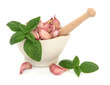 Garlic and Basil Herb