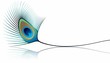 SPA beauty banner