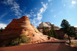 mountains, zion