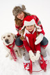 Sledding with dog at winter time