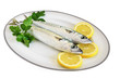 plate with two mackerels - piatto con sgombri