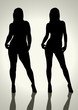 Silhouette illustration of a fat and slim woman figure