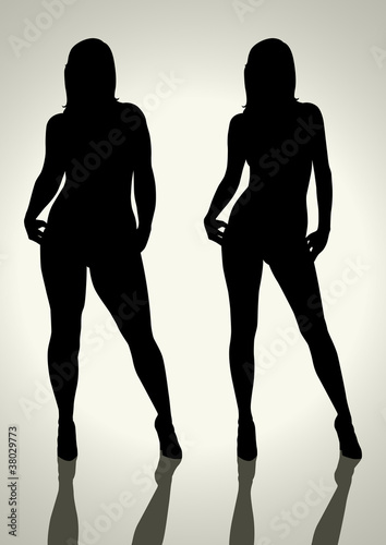 Vektor: Silhouette illustration of a fat and slim woman figure Silhouette illustration of a fat and slim woman figure