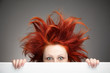 Photo: Bad hair day Bad hair day