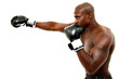 Photo: Attractive Black Male Boxer Over White Attractive Black Male Boxer Over White