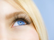 Blue Eye