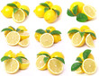 Lemon collection