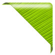 Grüner Ökobutton ecke, blank