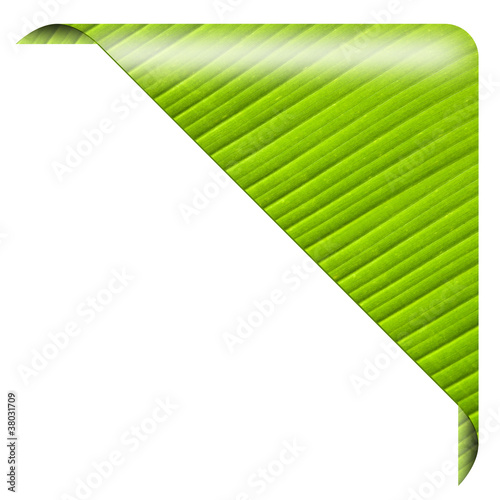 Illustration: Grüner Ökobutton ecke, blank Grüner Ökobutton ecke, blank
