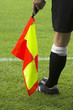 Linesman